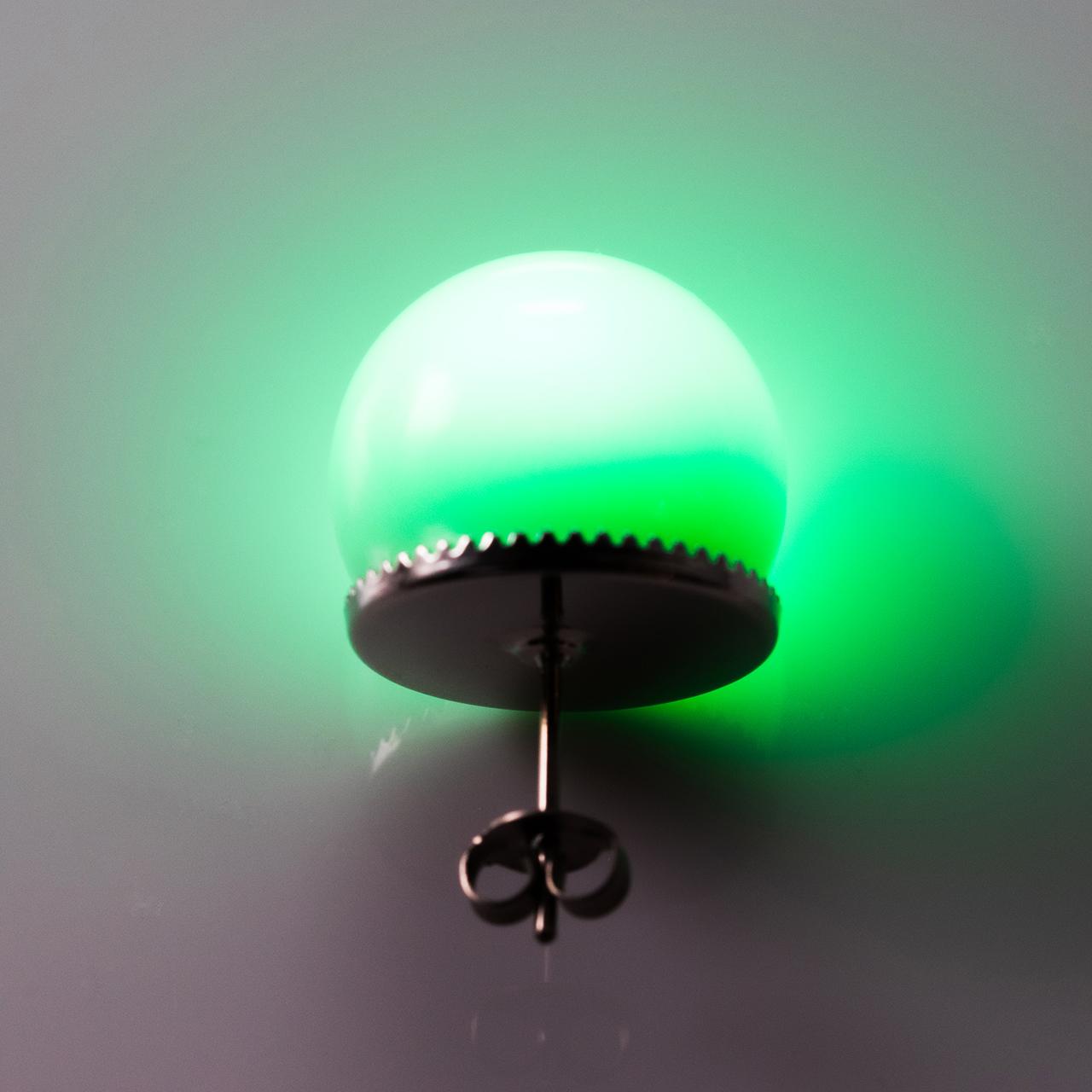 ホタルピアス(イヤリング変更可)1枚目の画像